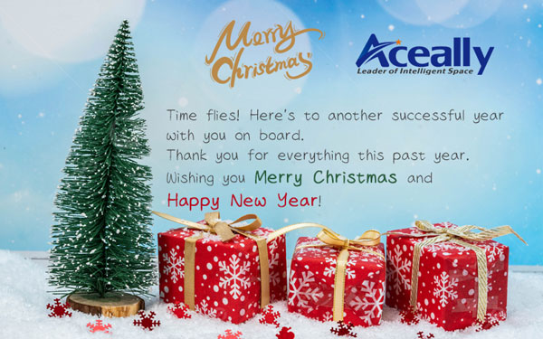 Wishing you Merry Christmas and Happy New Year