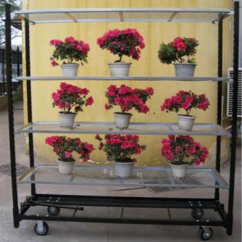 Customized Garden Trolley with Wheels